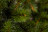 Искусственная елка Лесная Красавица 90 см зеленая