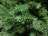 Искусственная ель Царевна 214 см зеленая Резина + ПВХ