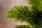 Искусственная ель Триумф Норд 60 см зеленая